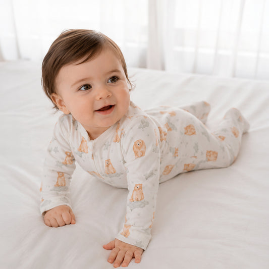 Pijama Mágica 🧲 Dreamy Teddy