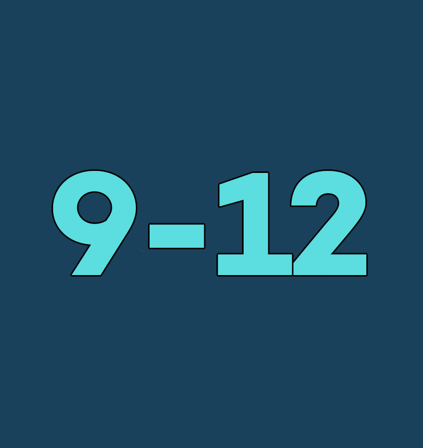 Ropa 9-12